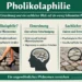 Pholikolaphilie